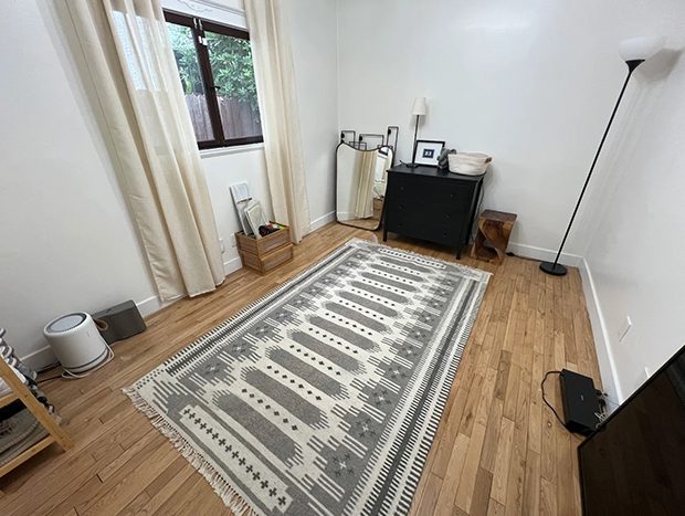 Clean minimalist room with rug and organized furniture